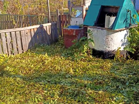 будинок за адресою Шевченка
