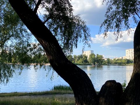 квартира по адресу Юрия Шумского ул., 5