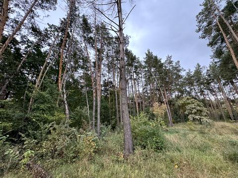 ділянка за адресою 