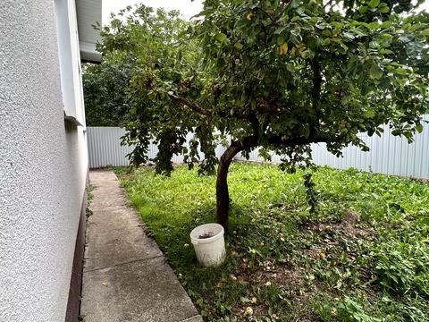 квартира по адресу Челюскинцев ул., 39