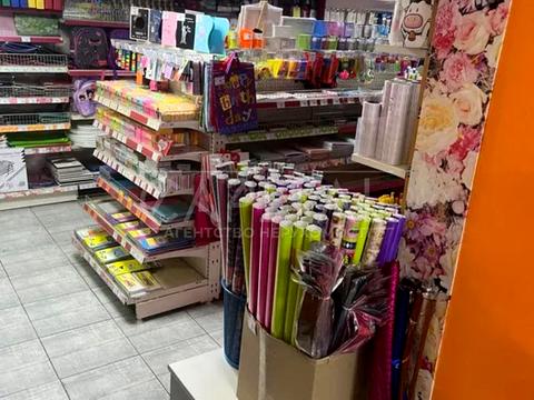 комерційна за адресою Гетьмана Павла Скоропадського вул. (Льва Толстого), 11/61