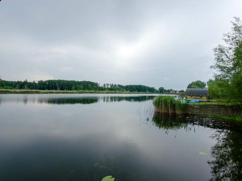 дом по адресу с. Новые безрадичи, Лесная, 99