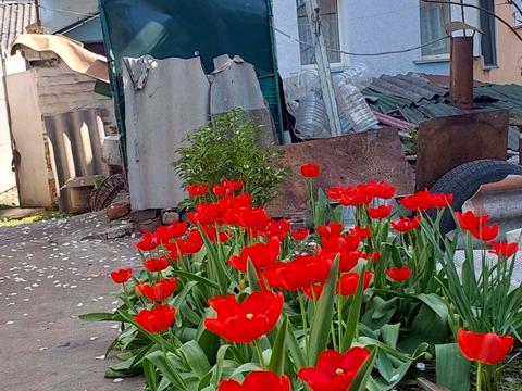 дом по адресу Брацлавська