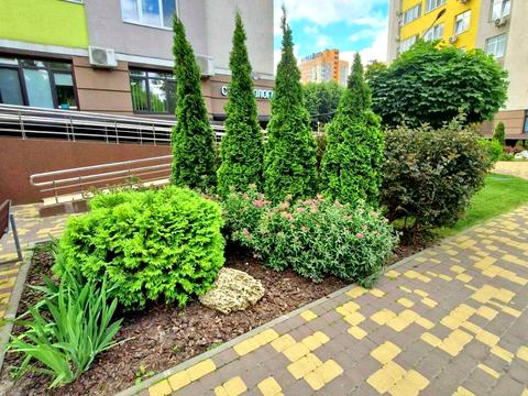 квартира за адресою Віталія Скакуна вул. (Академіка Каблукова), 23