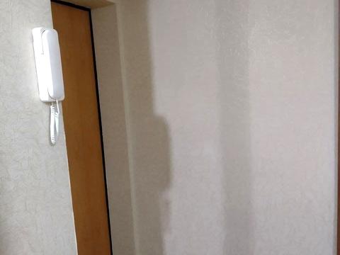 квартира за адресою Рибальська вул., 7