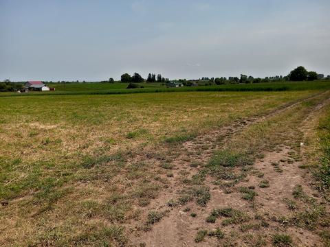 участок по адресу Нове село