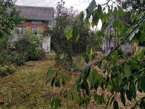 ділянка за адресою Коротка