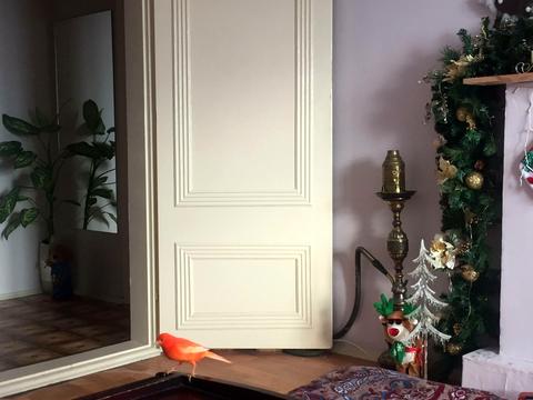 квартира за адресою Милославська вул., 32/51а