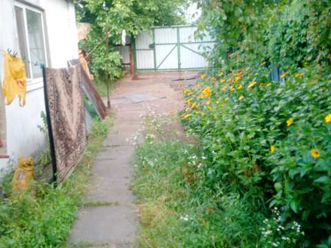 дом по адресу Березовский пер. (Чехова 2-й), 1