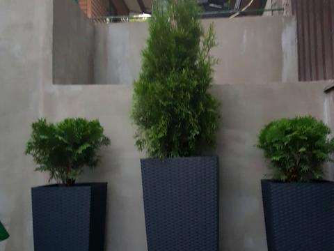 дом по адресу Шкиперская, 102