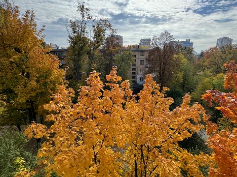 квартира за адресою Олександра Олеся вул., 15