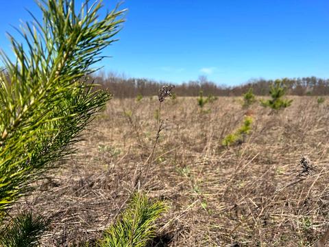 участок по адресу 