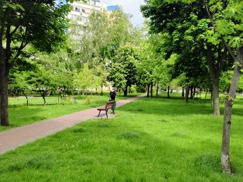 квартира за адресою Петра Панча вул., 5