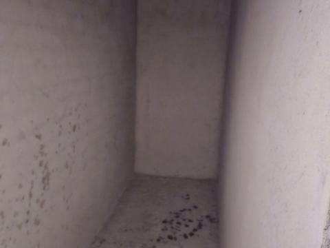 квартира по адресу Романа Вірастюка ул., 1