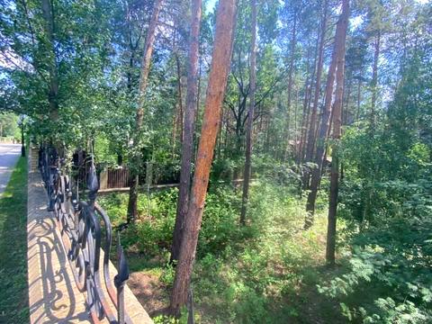 участок по адресу КГ Сосновый Бор