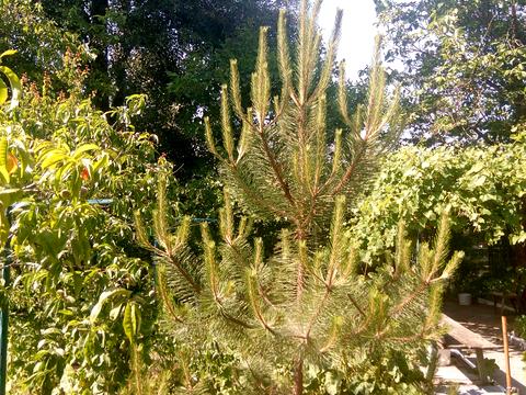 дом по адресу Рибальська