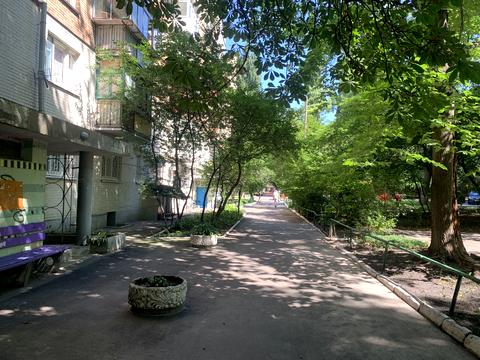 квартира за адресою Новогоспітальна вул. (Щорса пров.), 5