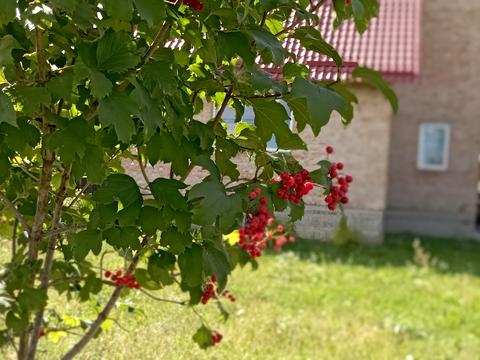 дом по адресу Центральна, 14