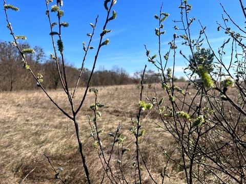 ділянка за адресою вул. Василькова, 2