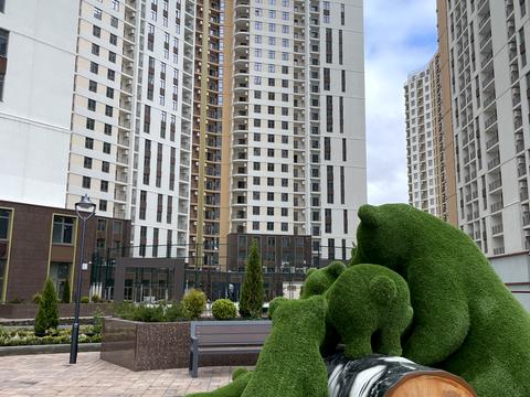 квартира по адресу Краснова ул., 3