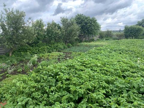 участок по адресу 6-та Лінія вул.