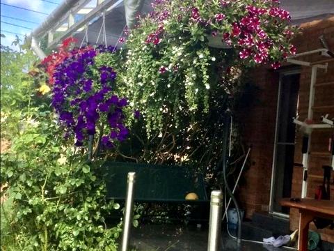 будинок за адресою Левка Мацієвича вул., 39