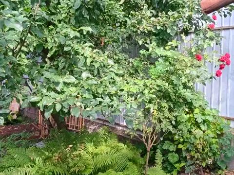 дом по адресу Науки просп. (Гагарина), 99