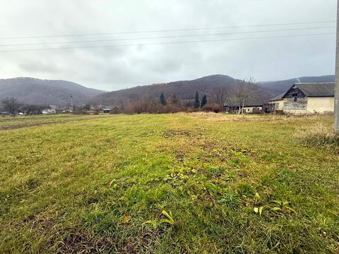 будинок за адресою Центральна, 100