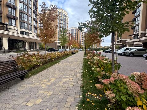 коммерческая по адресу Радісна, 4