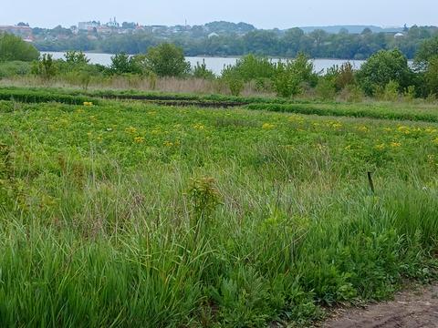 ділянка за адресою Хмельницький, 