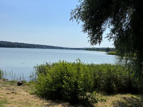 ділянка за адресою Михайлівська