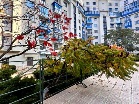 квартира за адресою Мукачівський пров., 6