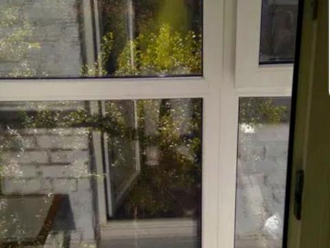 квартира за адресою Білоруська вул., 36