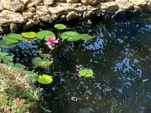 будинок за адресою Гребной Канал, 38