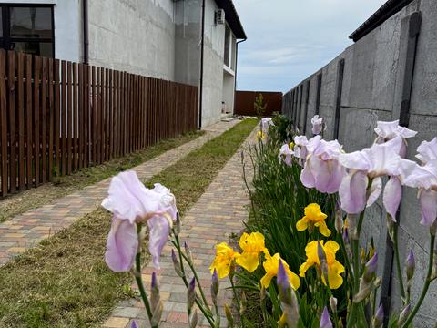 будинок за адресою Басейна