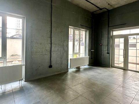 комерційна за адресою Михайла Максимовича вул. (Онуфрія Трутенка), 24