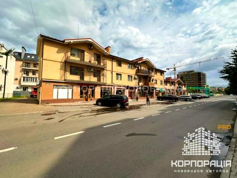 комерційна за адресою Марії Заньковецької вул., 10А