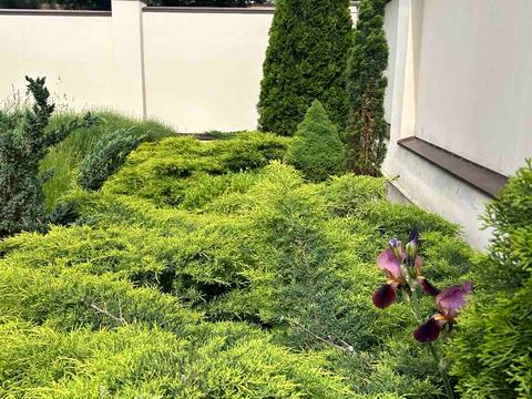 будинок за адресою Харків, Вишневий пров.