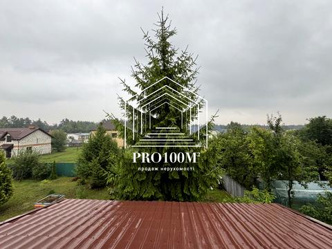 будинок за адресою Вишгород, полунична