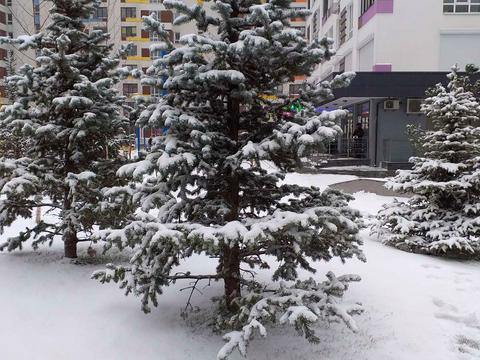 квартира за адресою Марії Примаченко вул. (Першотравнева), 24-А