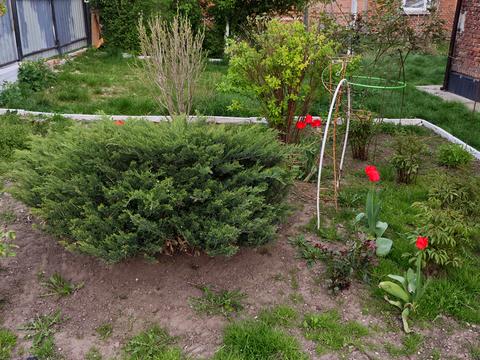 будинок за адресою Тараса Шевченка вул., 10