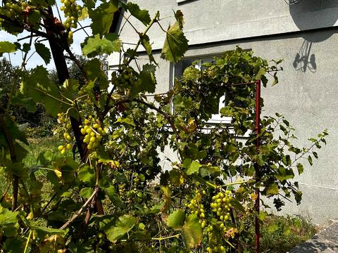 будинок за адресою Вінницьке шосе