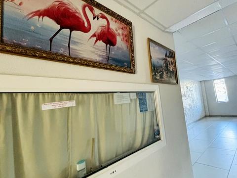 квартира по адресу Николая Боровского ул., 37