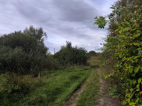 ділянка за адресою с. Нижнє Солотвино, 