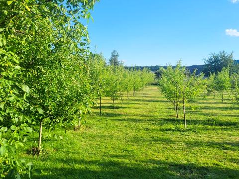 будинок за адресою Ватутіна пров., 99
