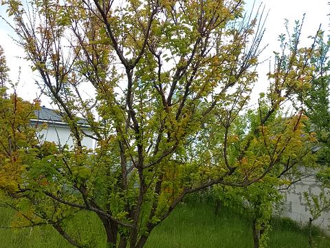 ділянка за адресою Надажинська