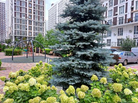 квартира за адресою Михайла Максимовича вул. (Онуфрія Трутенка), 28-Е