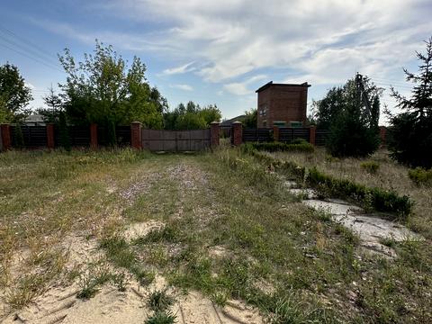 ділянка за адресою Ігнатова