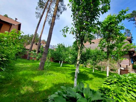 дом по адресу Антония Михайловского ул.