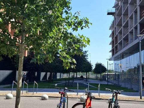 квартира по адресу Набережно-Рыбальская дорога ул., 9